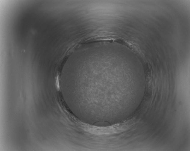 X0000071330042200606261258