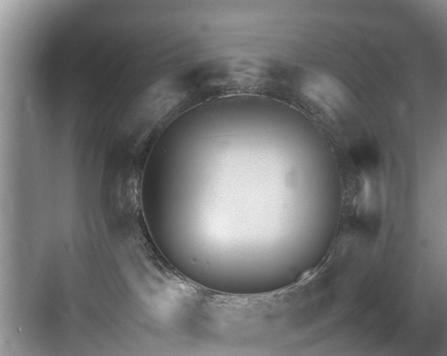 X0000071330045200606261258