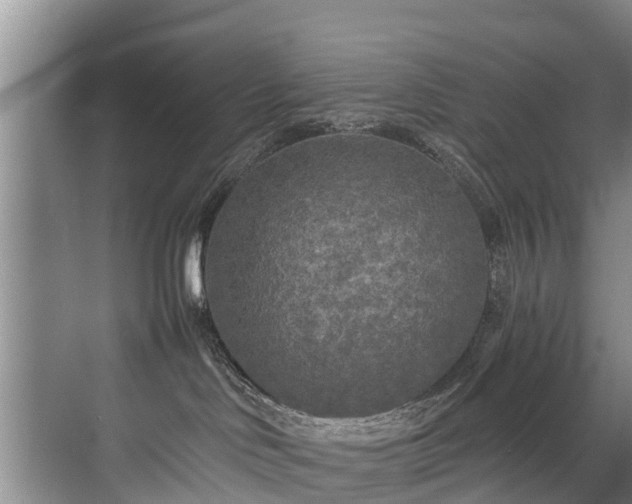 X0000071330046200606261258