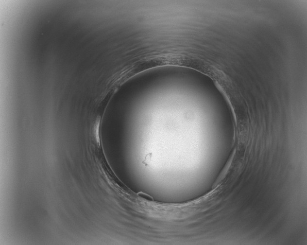 X0000071330047200606261258