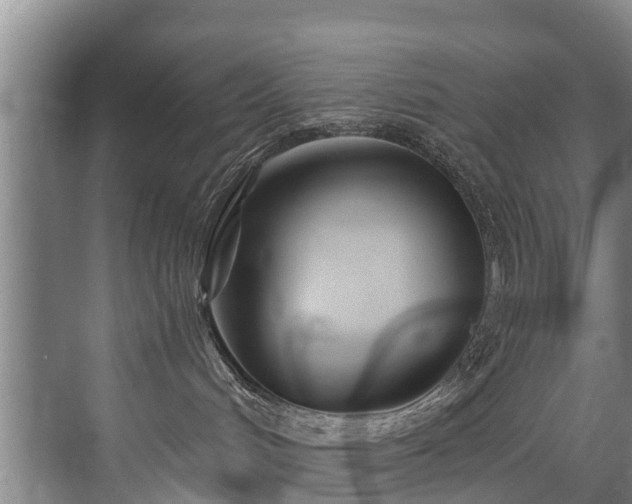 X0000071330048200606261258