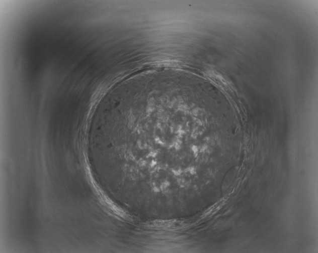 X0000071330049200606261257