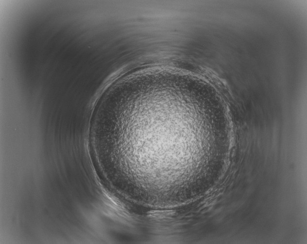 X0000071330051200606261257