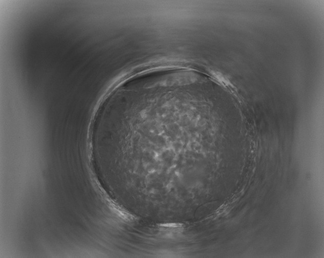 X0000071330053200606261257