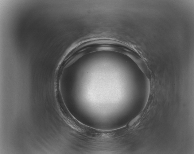 X0000071330056200606261257