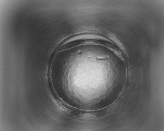 X0000071330058200606261257