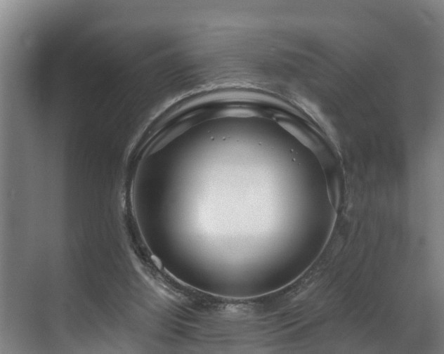 X0000071330060200606261257