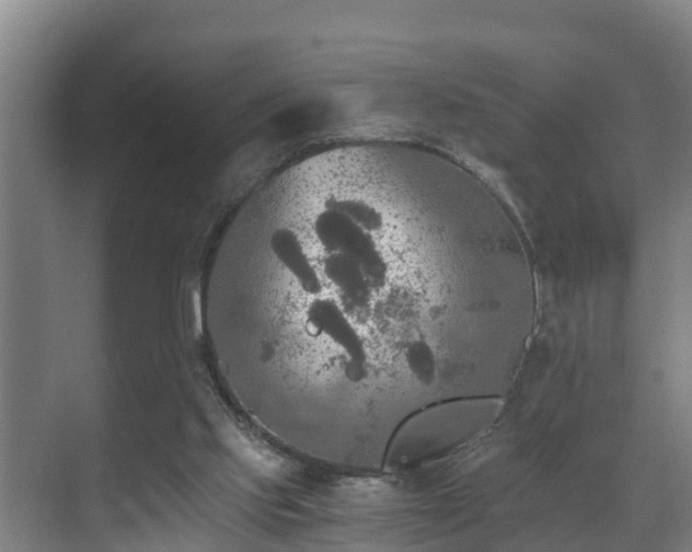 X0000071330061200606261257