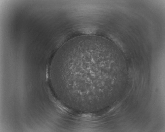 X0000071330069200606261257