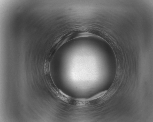 X0000071330096200606261258