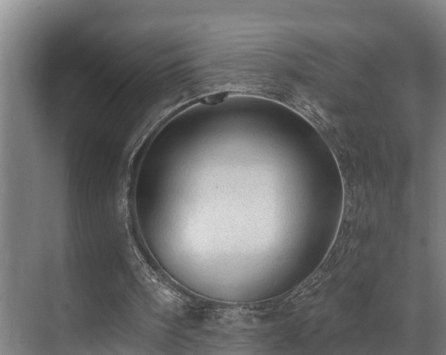 X0000071330098200606261257