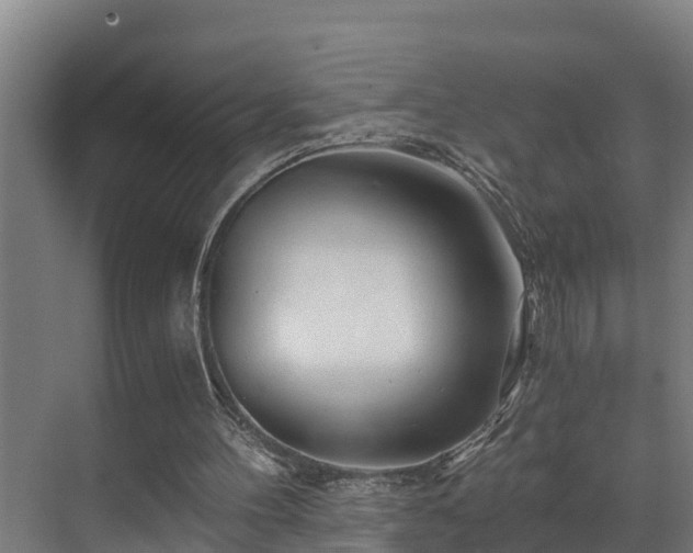 X0000071330100200606261257