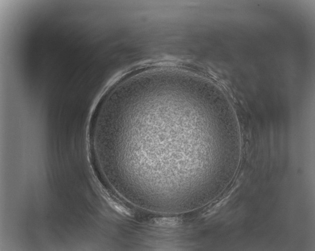 X0000071330102200606261257