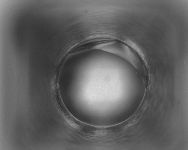 X0000071330105200606261257