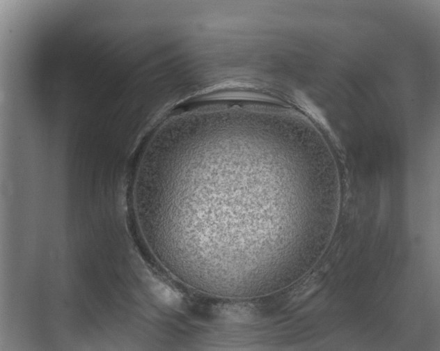 X0000071330106200606261257