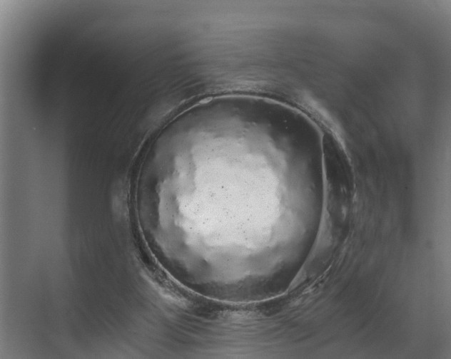 X0000071330107200606261257