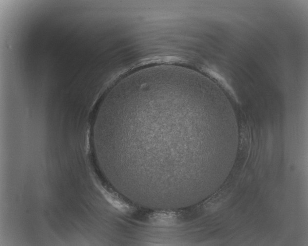 X0000071330110200606261257