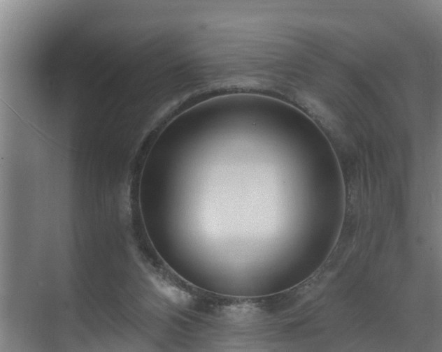 X0000071330112200606261257