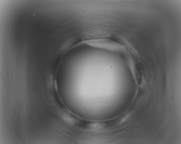 X0000071330117200606261257