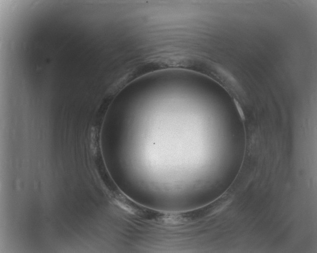 X0000071330121200606261256