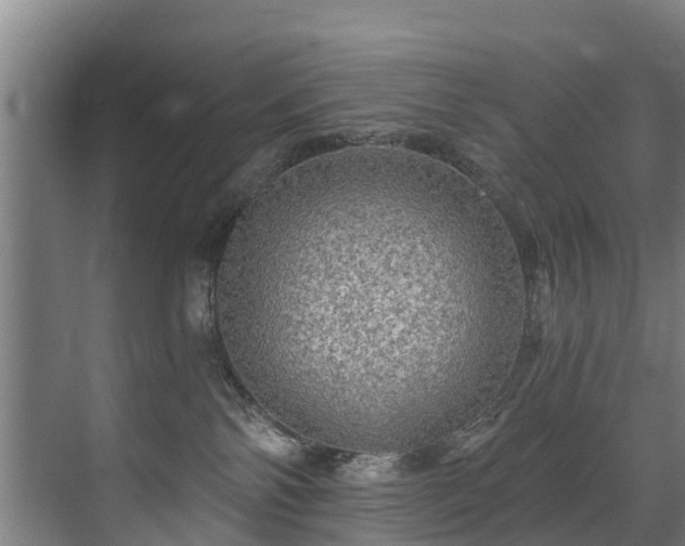 X0000071330138200606261256