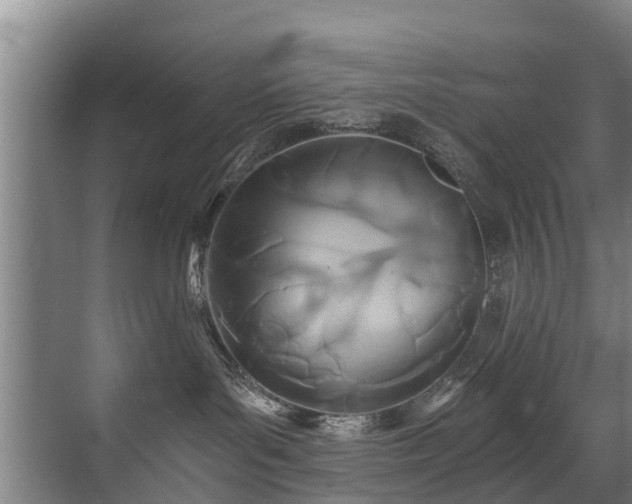 X0000071330143200606261256