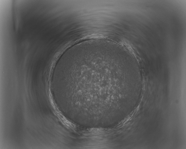 X0000071330145200606261255