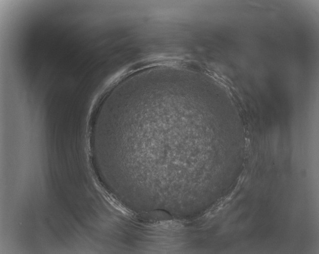 X0000071330149200606261255