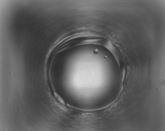 X0000071330150200606261255