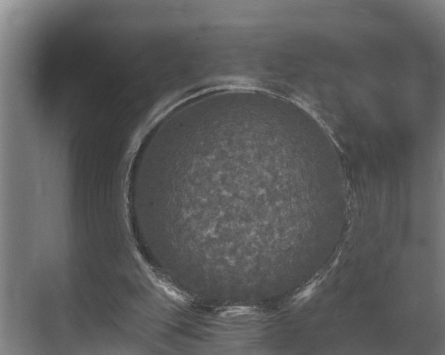 X0000071330151200606261255