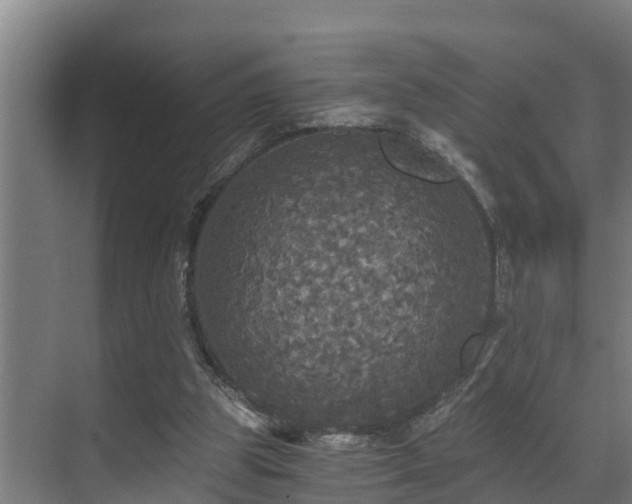 X0000071330153200606261255