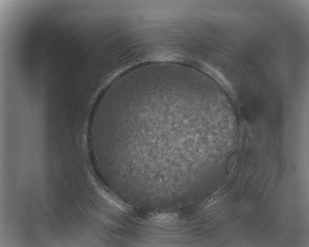 X0000071330155200606261255