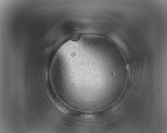 X0000071330157200606261256