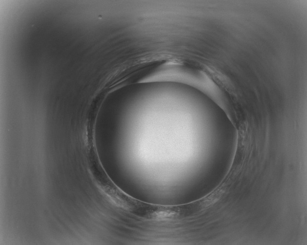 X0000071330158200606261256