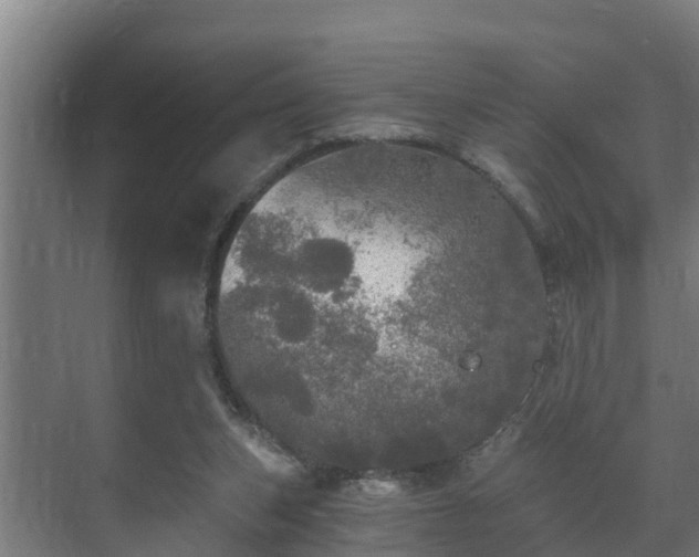 X0000071330159200606261256