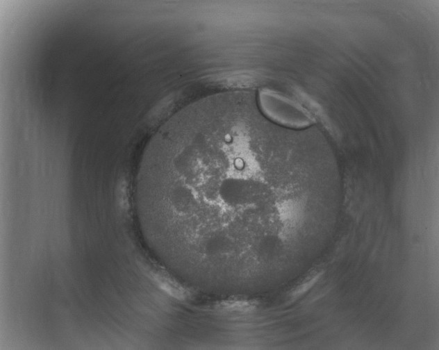 X0000071330161200606261256