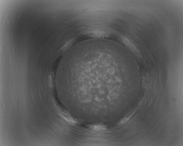 X0000071330165200606261256