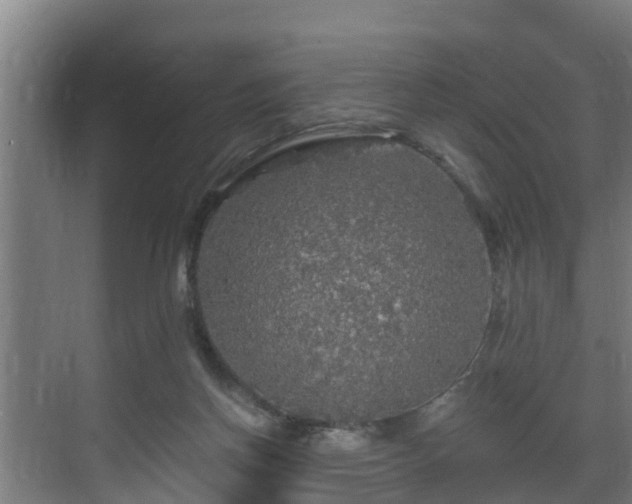 X0000071330166200606261256