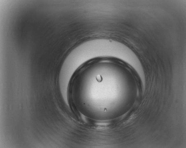 X0000071330168200606261256