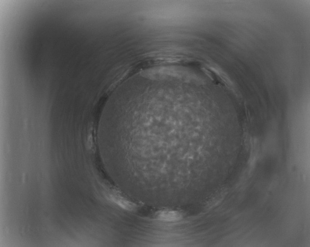 X0000071330169200606261256