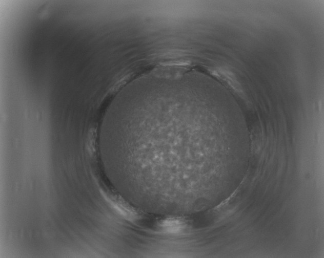 X0000071330171200606261256