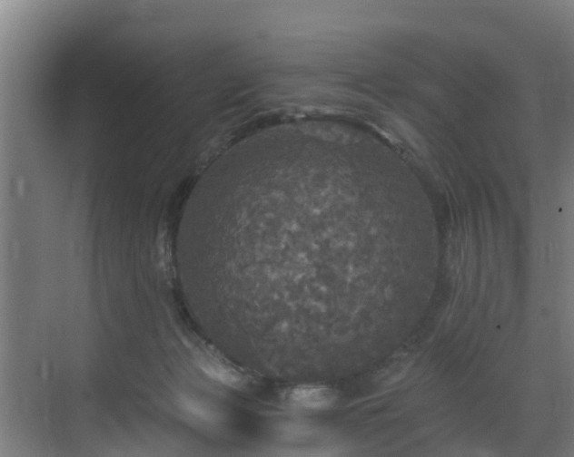 X0000071330173200606261256