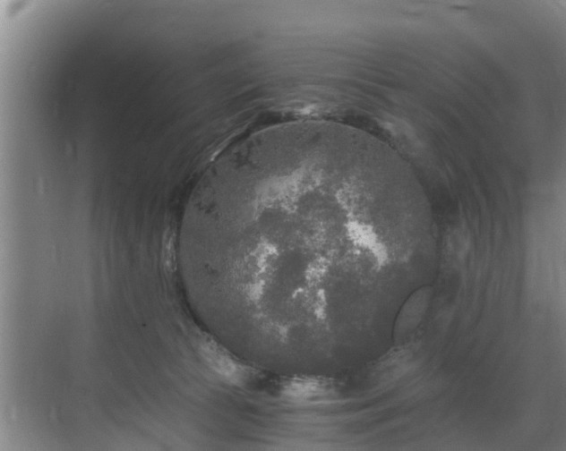 X0000071330177200606261256