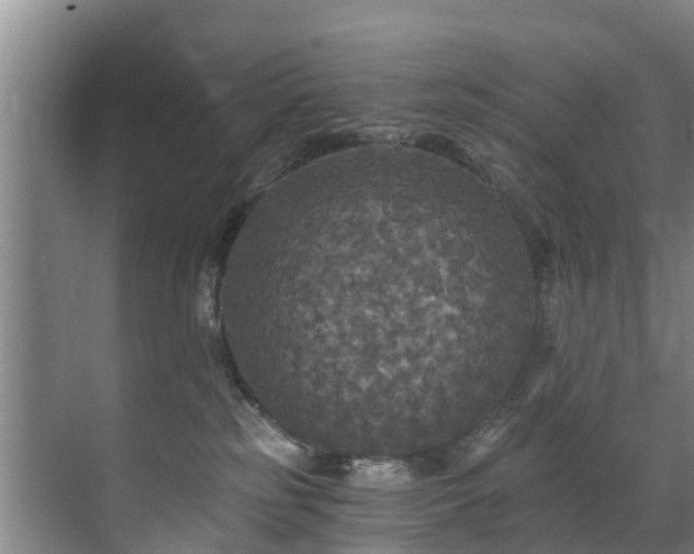 X0000071330185200606261256