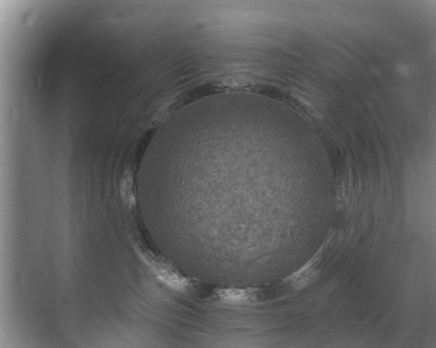 X0000071330187200606261256