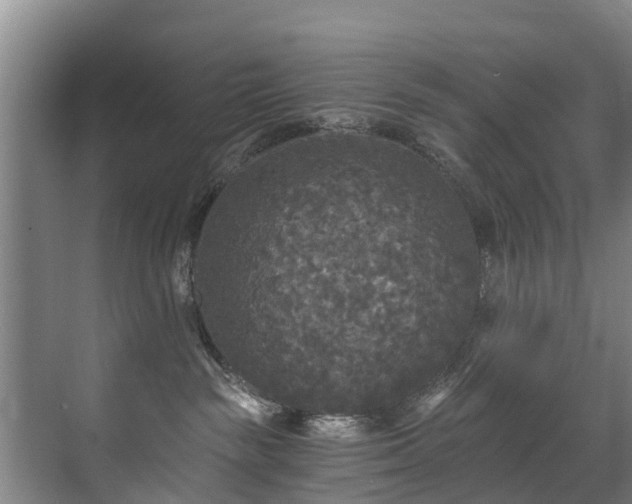 X0000071330189200606261256