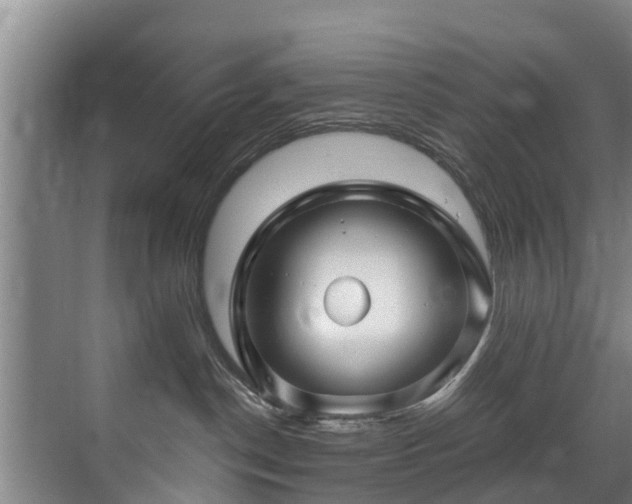 X0000071330190200606261256