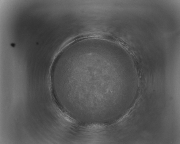 X0000071330198200606261255