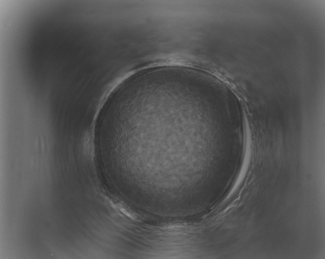 X0000071330200200606261255