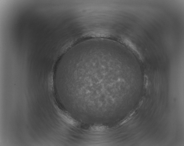 X0000071330202200606261255